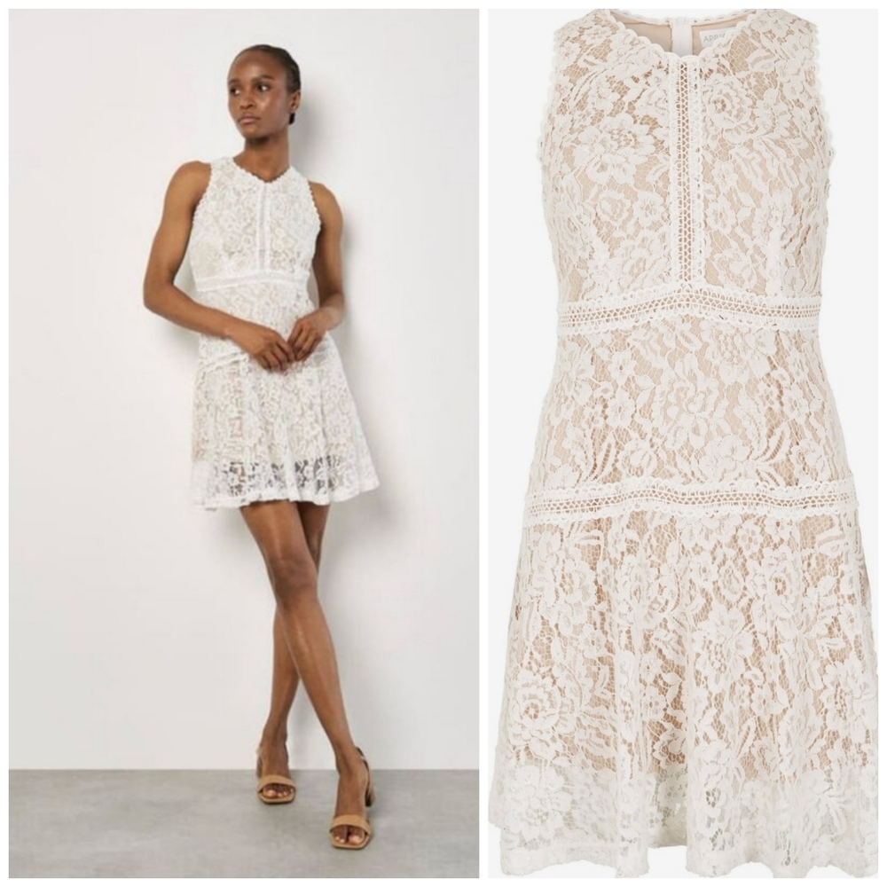 APRICOT Cream Lace Dress Size 10 Large Lined Fit & Flare Skater NEW - Picture 7 of 16
